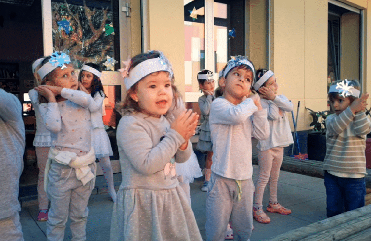 Nikolaus Video portada